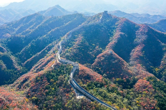 �»������ ���ʻ� ��