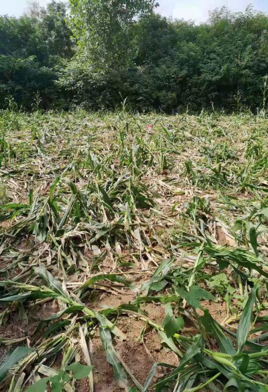 ͼƬ��Դ����������ҵ����վ