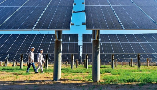 �� 2021��7��8�գ�������Ա�����ɹ�����������콾����50��ǧ�߲�ú��������̬�����������ʾ����Ŀ����Ѳ�� ������