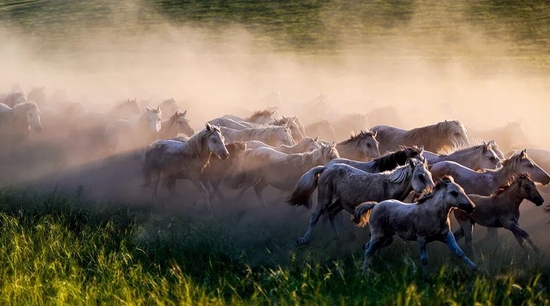  �� ��Ⱥ�۳������ɹ����ֹ��մ��ԭ�ϣ�2020��7��31���㣩 ������