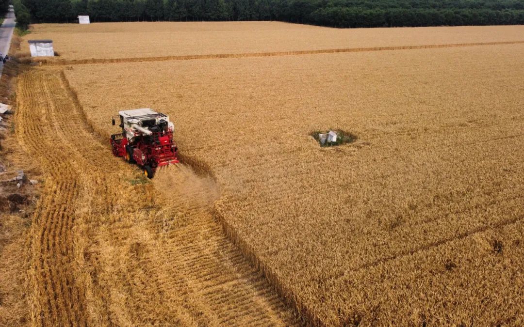 ������ʱ�ڣ�ɽ���������ӷ��ա�����ͼ/�¾������� ��Ρ ��