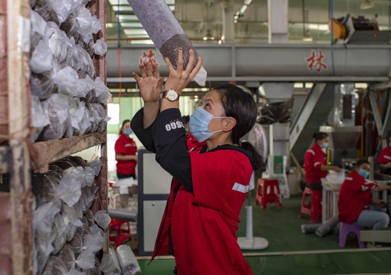 �½�ī���������͸�������ι������������Ḧ�ڵ���һ�Ҿ�ҵ��˾�ľ���װ�����乤����2020��9��22���㣩���»������ ������ ��