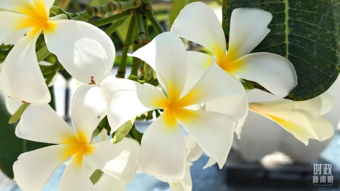 ������¥�ſ��������ŵļ�����������������ϣ��������̨���Ӽ��ߺ������㣩