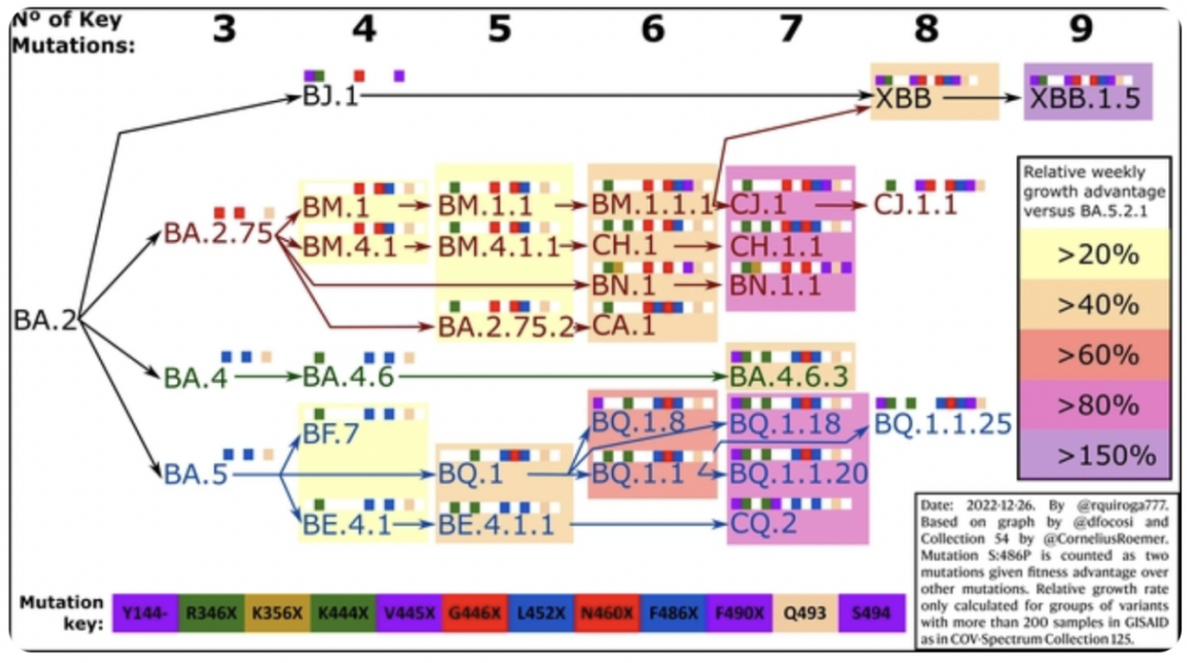 ͼƬ��Դ��Rodrigo Quiroga
