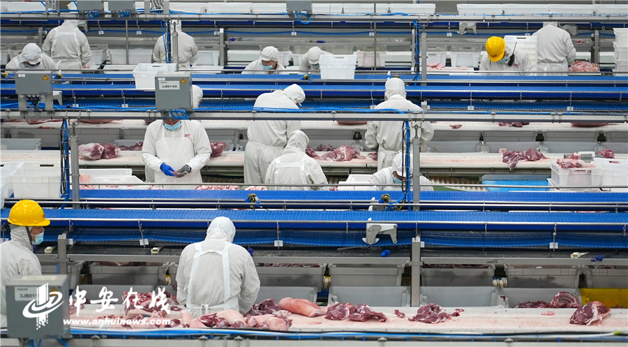 ���ʰ��ζ������Ȫ��ʳƷ���޹���˾Ա���ֽ����� (2).jpg